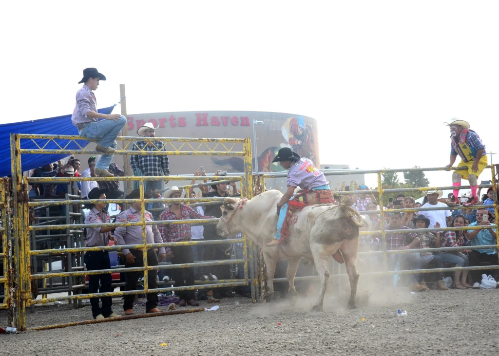 Bull Rider in Bull Pin